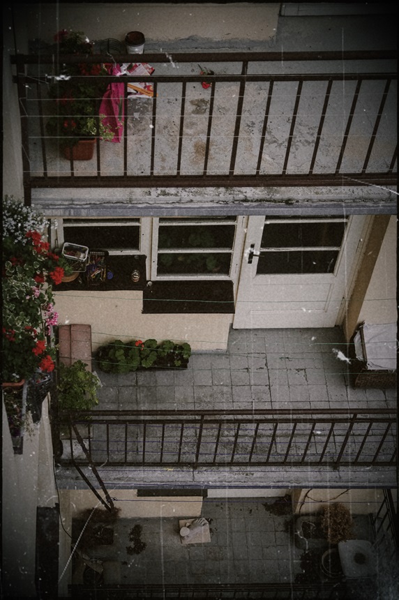 Zpět