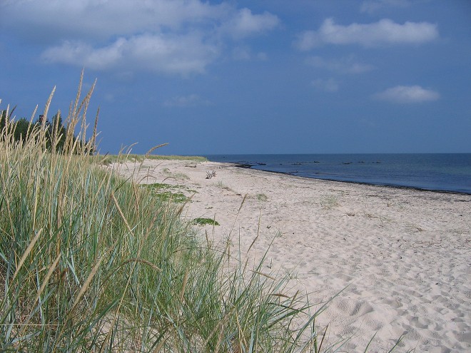 img00048.jpg