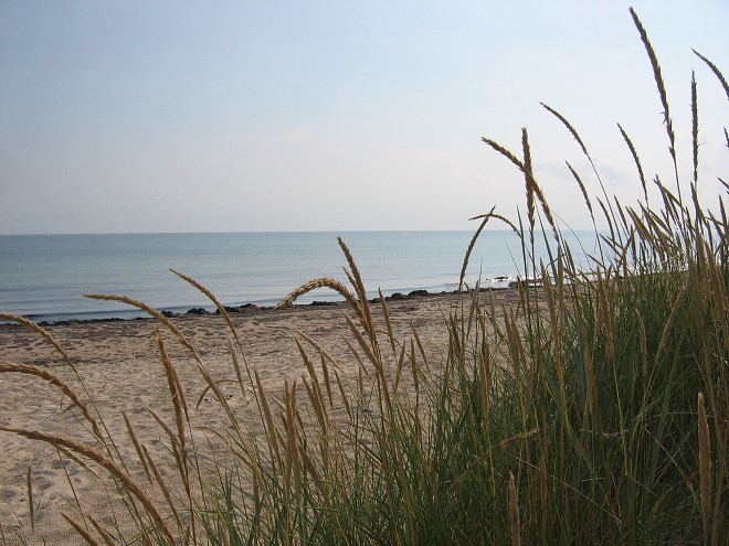 img00049.jpg