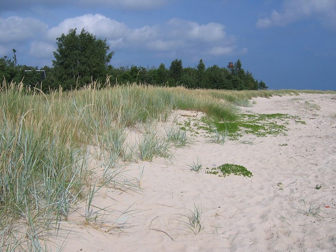 img00051.jpg