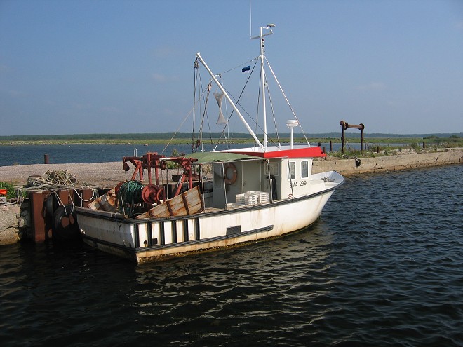 img00071.jpg