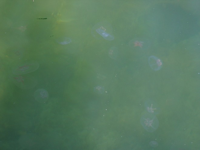 img00072.jpg