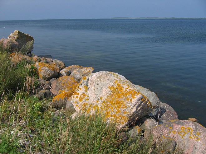 img00073.jpg