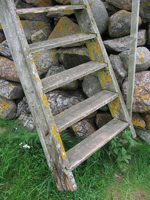 img00091.jpg