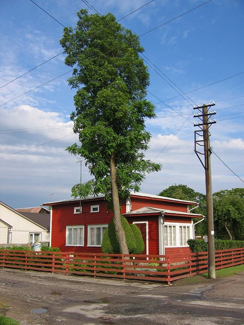 img00105.jpg