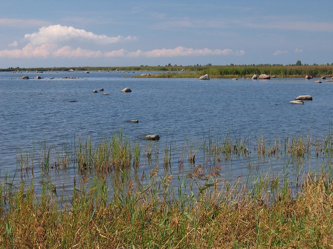 img00113.jpg