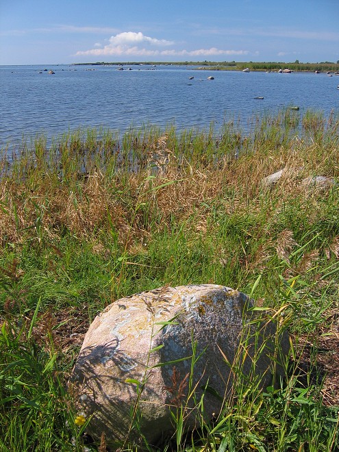 img00114.jpg