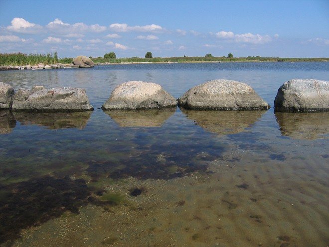 img00115.jpg