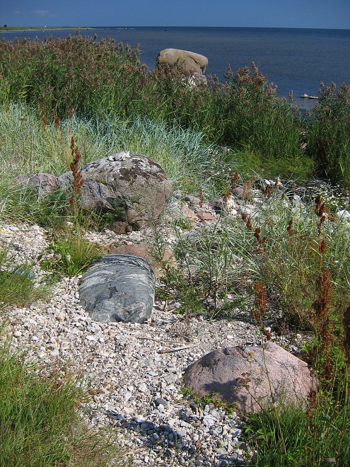 img00119.jpg