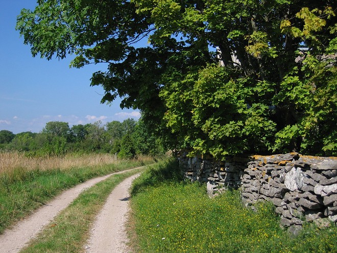 img00120.jpg