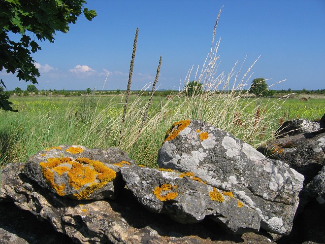 img00122.jpg
