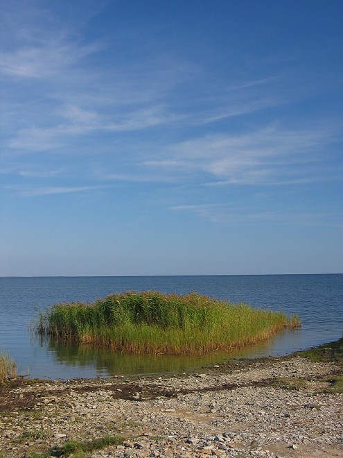 img00135.jpg