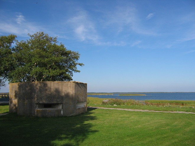 img00136.jpg