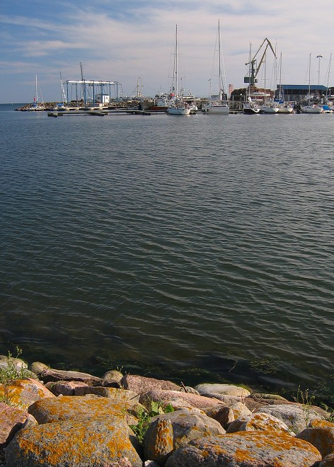 img00137.jpg