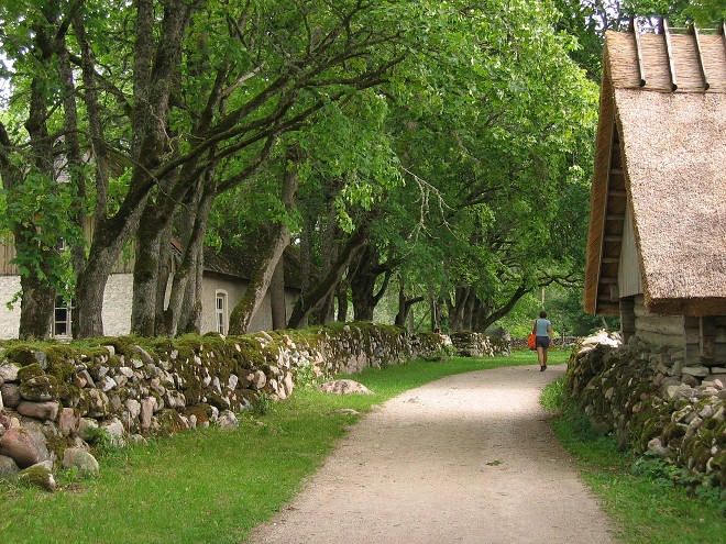img00154.jpg