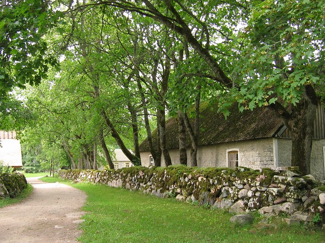 img00155.jpg
