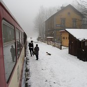 Zv�t�i