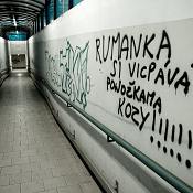 Zv�t�i