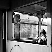 Zv�t�i