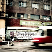 Zv�t�i