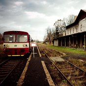 Zv�t�i