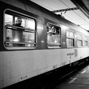 Zv�t�i