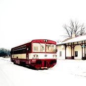 Zv�t�i