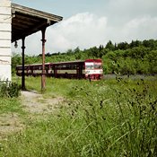 Zv�t�i