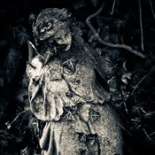 Zv�t�i