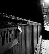 Zv�t�i