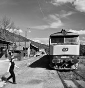 Zv�t�i