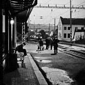 Zv�t�i