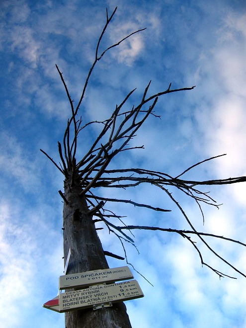 Zp�t