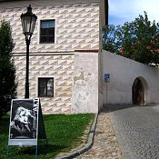 Zv�t�i