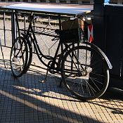 Zv�t�i