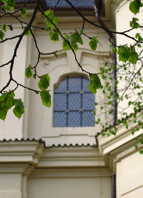 Zp�t