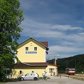 Zv�t�i