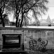 Zv�t�i