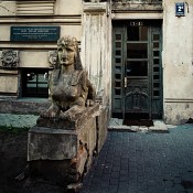 Zv�t�i