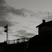 Zv�t�i
