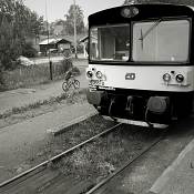 Zv�t�i