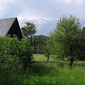 Zv�t�i