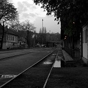 Zv�t�i