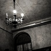 Zv�t�i