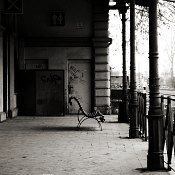 Zv�t�i