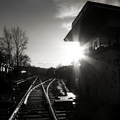 Zv�t�i