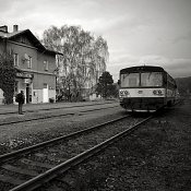Zv�t�i