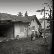 Zv�t�i