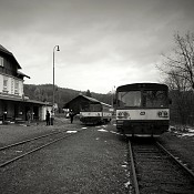 Zv�t�i