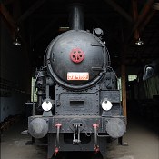 Zv�t�i